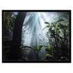 Draper Fixed Screen (800016)